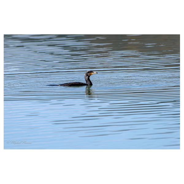 PHOTO84, CLUB, 84 , LUBERON